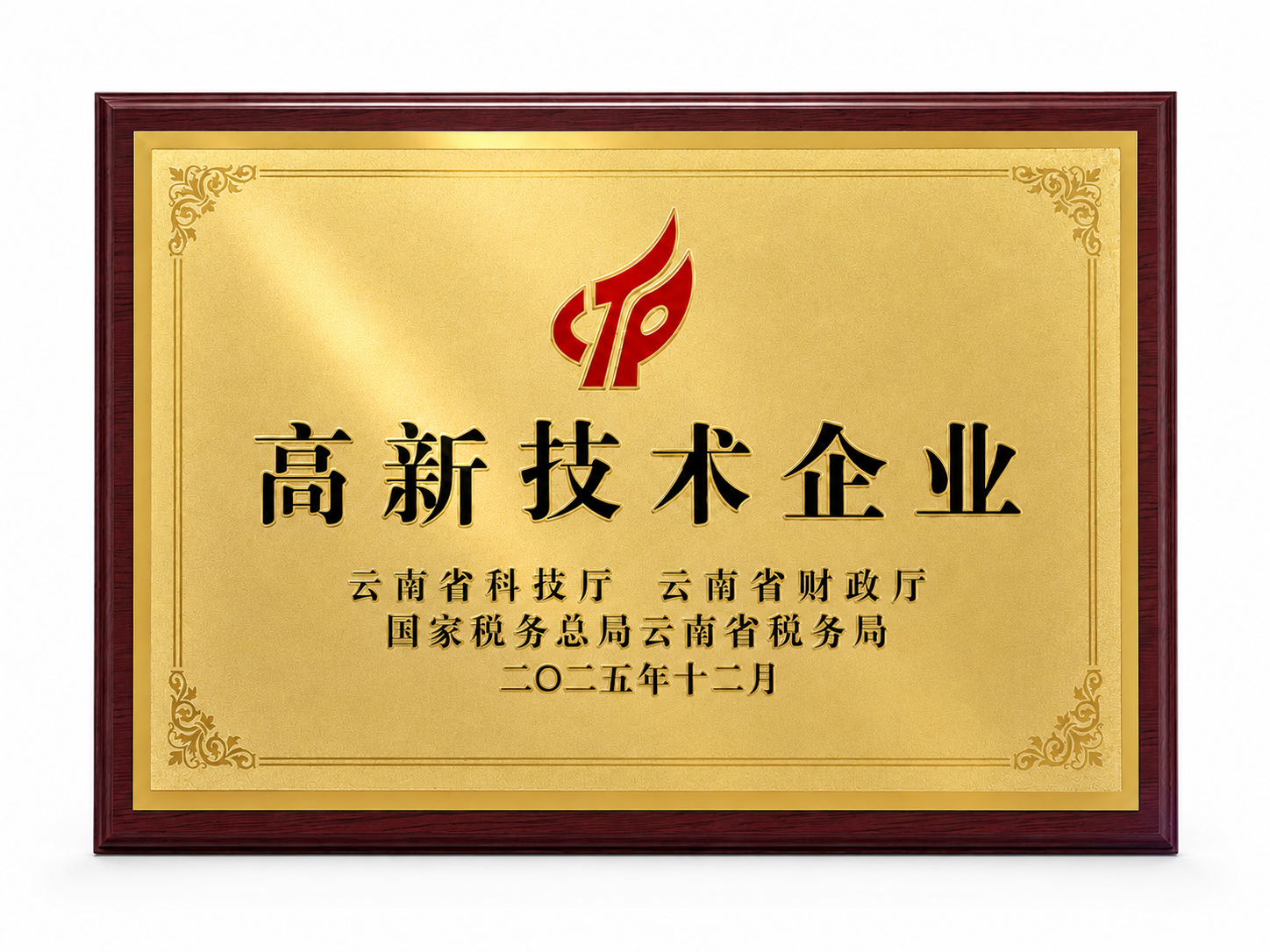 高新技术企业